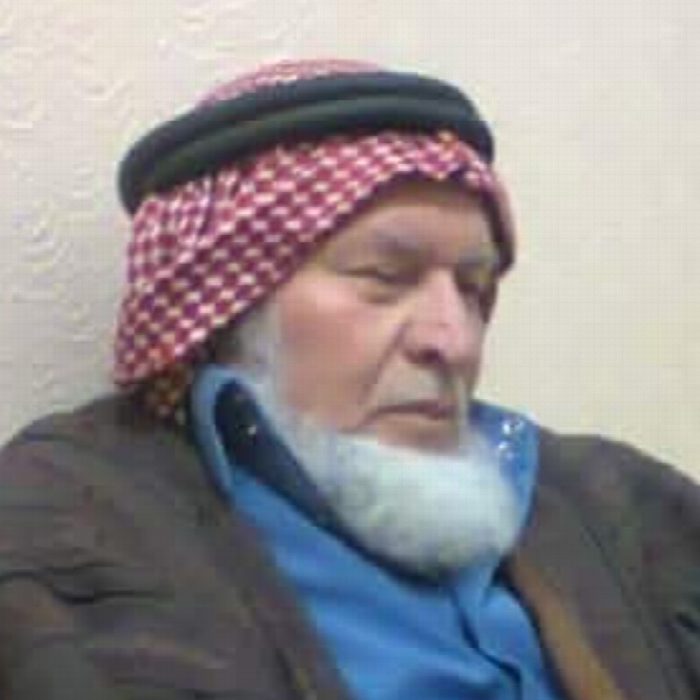نجيب